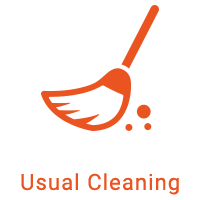 Usual Cleaning